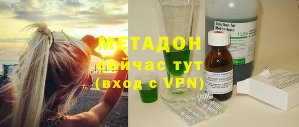 прущие грибы Наволоки