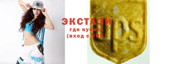 прущие грибы Наволоки