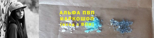 прущие грибы Наволоки
