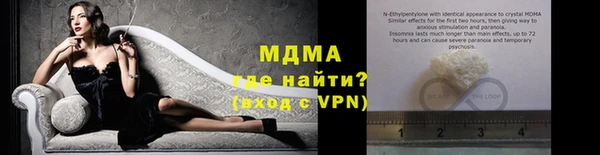 прущие грибы Наволоки