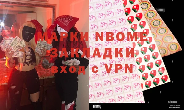 прущие грибы Наволоки