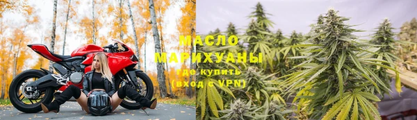 прущие грибы Наволоки